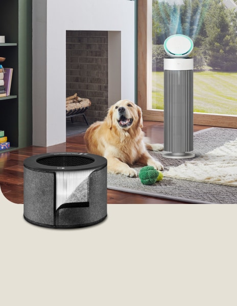 LG air purifier with pet filter in a bright living room, reducing pet ordors while a happy dog sits with a toy.