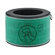 LG PuriCare™ Air Purifier (Pet Mode with Clean Booster), AS65GDST0
