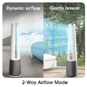 LG PuriCare™ AeroTower Hit 2-in-1 Air Purifying Fan, FS15GPBK0