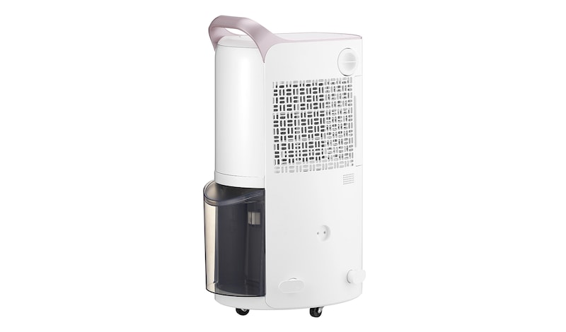 LG 29L Inverter Smart Dehumidifier with Ionizer (Made in Korea), RD17GQGD1
