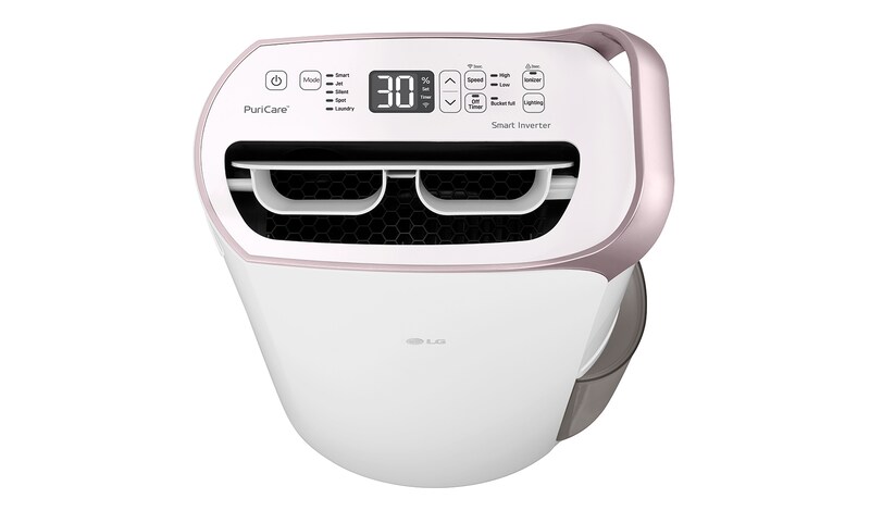 LG 29L Inverter Smart Dehumidifier with Ionizer (Made in Korea), RD17GQGD1