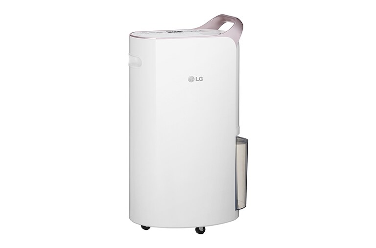LG 29L Inverter Smart Dehumidifier with Ionizer (Made in Korea), RD17GQGD1