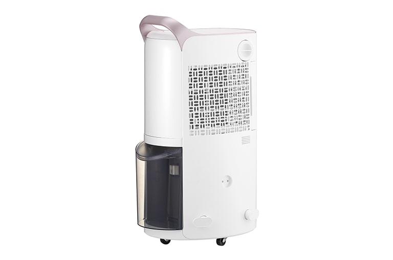 LG 29L Inverter Smart Dehumidifier with Ionizer (Made in Korea), RD17GQGD1