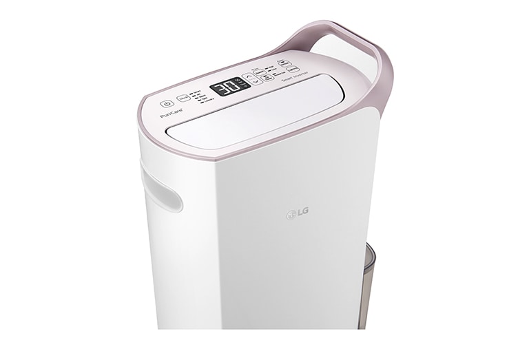 LG 29L Inverter Smart Dehumidifier with Ionizer (Made in Korea), RD17GQGD1