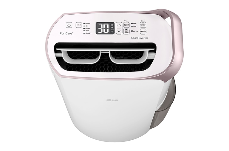 LG 29L Inverter Smart Dehumidifier with Ionizer (Made in Korea), RD17GQGD1