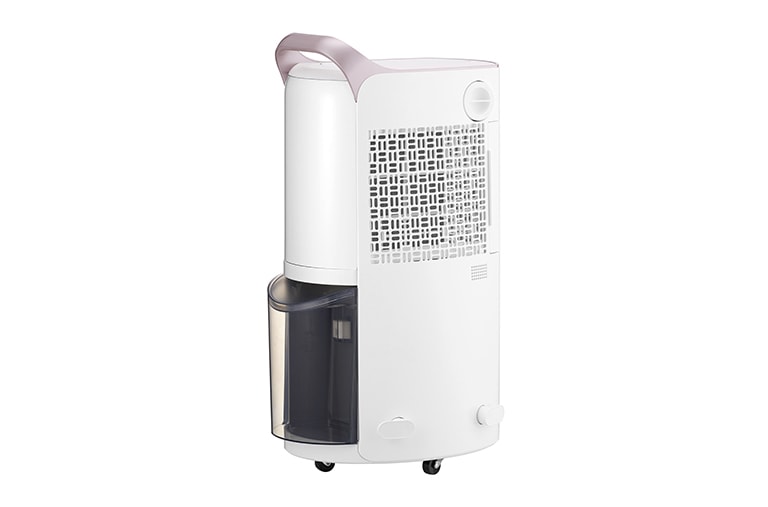 LG 30L Inverter Smart Dehumidifier with Ionizer (Made in Korea), RD19GQGC1