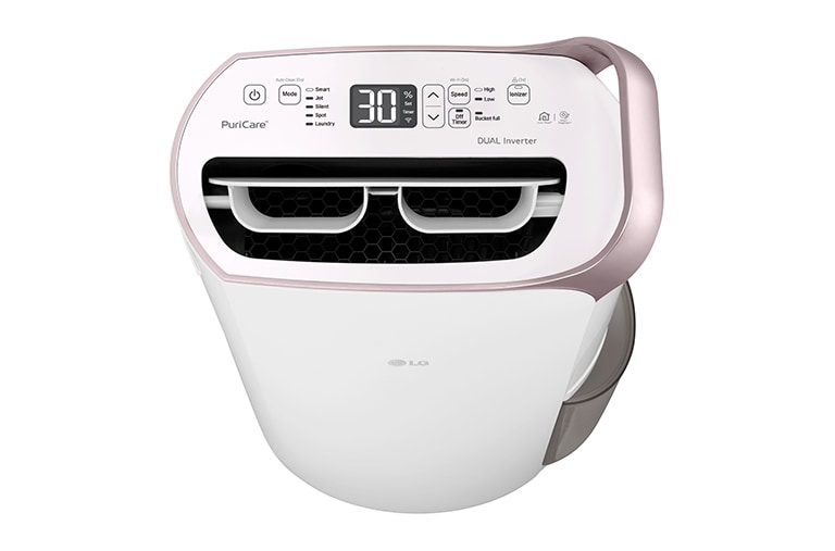 LG 30L Inverter Smart Dehumidifier with Ionizer (Made in Korea), RD19GQGC1