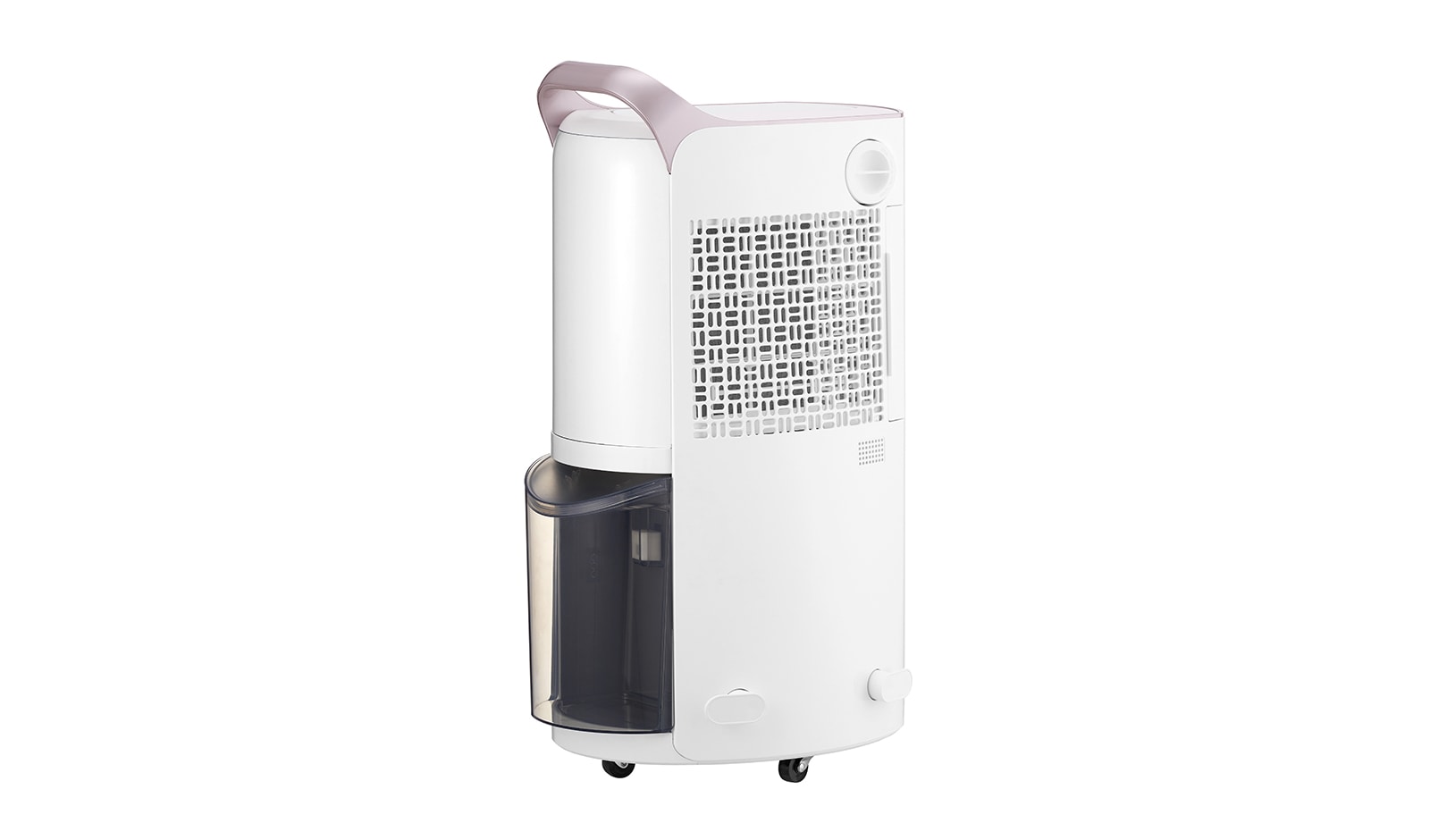 LG 30L Inverter Smart Dehumidifier with Ionizer (Made in Korea), RD19GQGC1