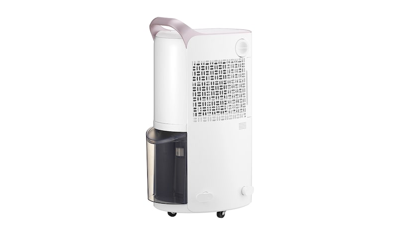 LG 30L Inverter Smart Dehumidifier with Ionizer (Made in Korea), RD19GQGC1