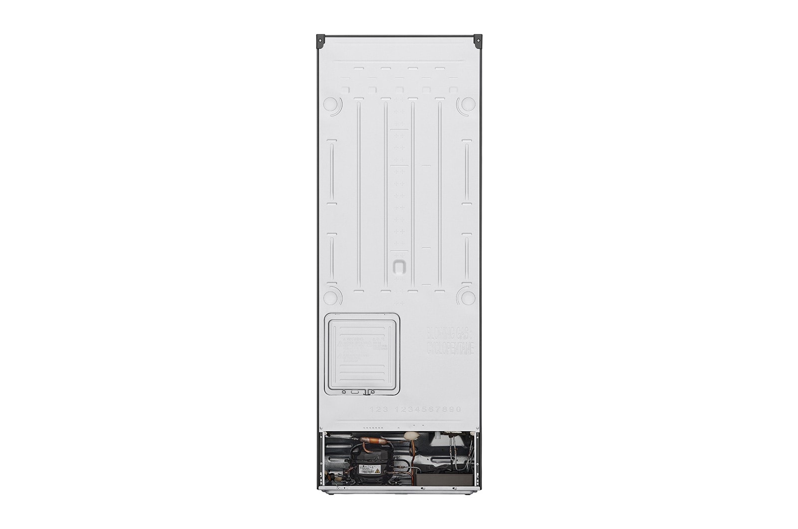 LG 245L Top Freezer with Smart Inverter Compressor, B232S13