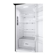 LG 269L Top Freezer Refrigerator  - B252S13 , B252S13