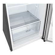 LG 269L Top Freezer Refrigerator  - B252S13 , B252S13