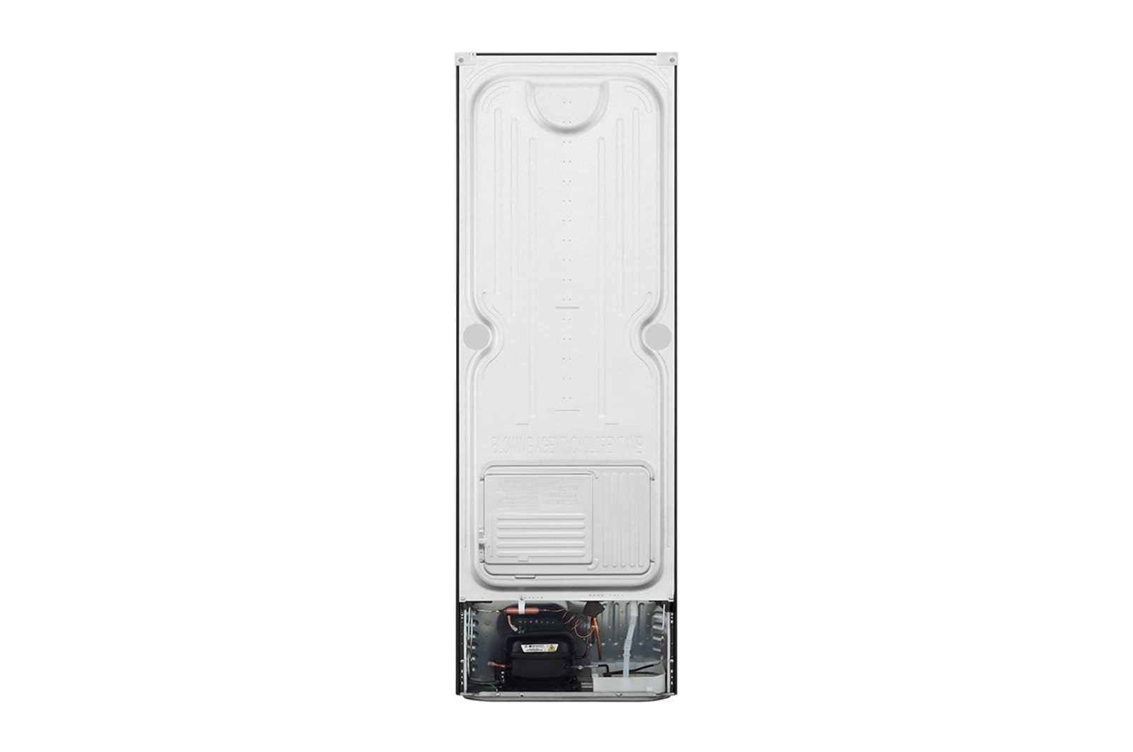 LG 253L Top Freezer with Smart Inverter Compressor & DoorCooling+, B271S13
