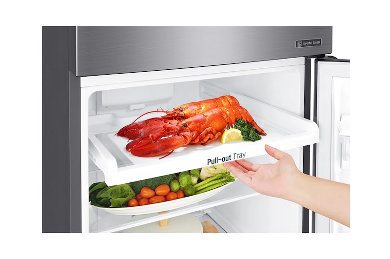 LG 253L Top Freezer with Smart Inverter Compressor & DoorCooling+, B271S13