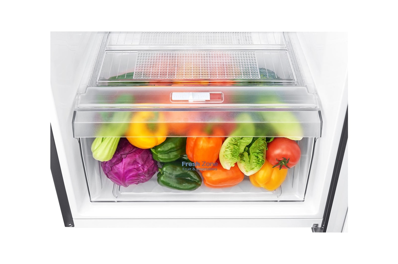 LG 253L Top Freezer with Smart Inverter Compressor & DoorCooling+, B271S13