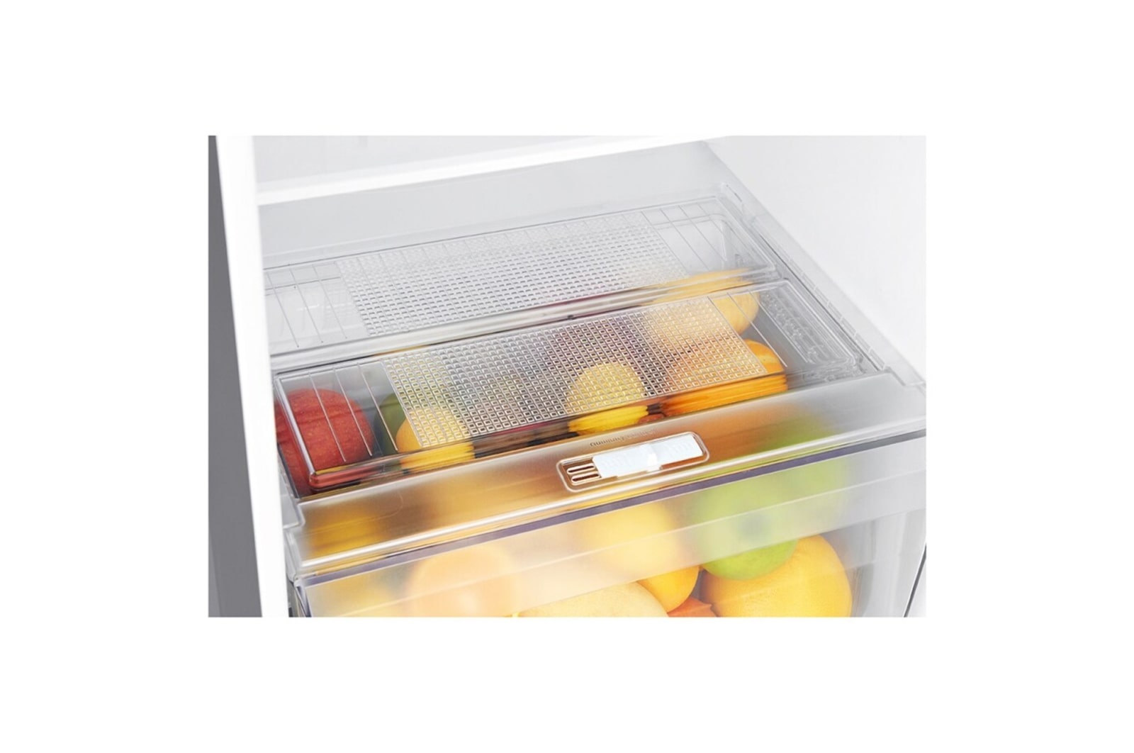 LG 311L Top Freezer Refrigerator B371S13, B371S13