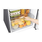 LG 311L Top Freezer Refrigerator B371S13, B371S13