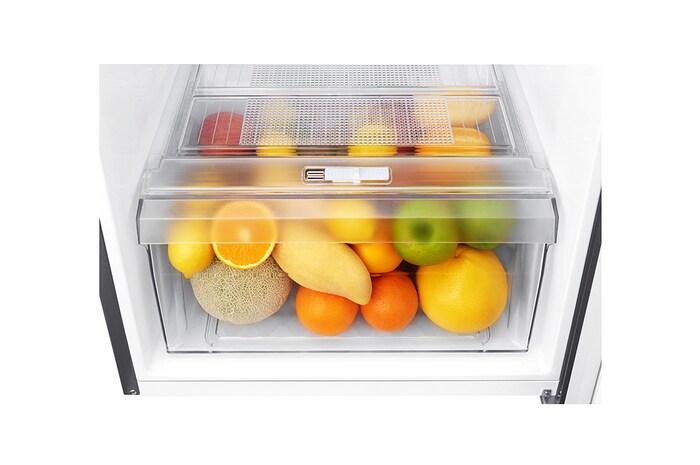 LG 184L Top Freezer 2 Doors Refrigerator with Smart Inverter Compressor, GN-B202SQBB