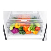 LG 184L Top Freezer 2 Doors Refrigerator with Smart Inverter Compressor, GN-B202SQBB