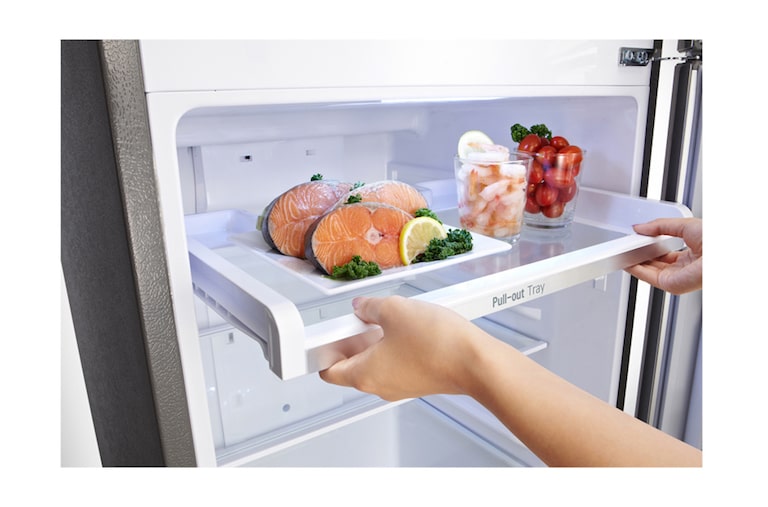 LG 255L Top Freezer 2 Doors Refrigerator with Smart Inverter Compressor, GN-B272SLCL