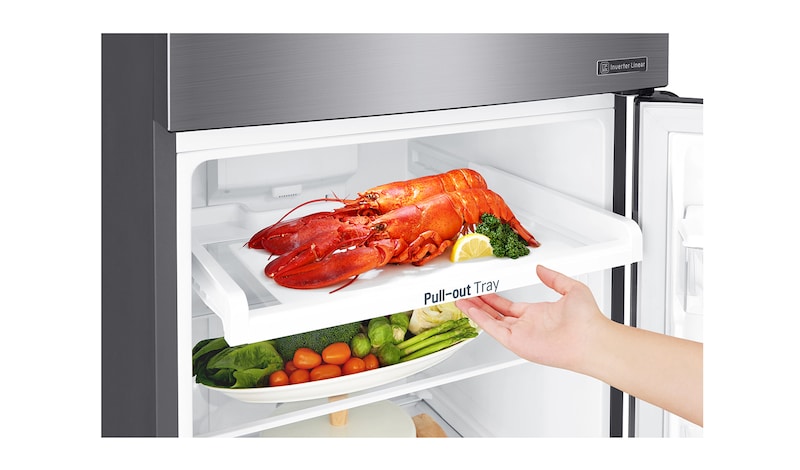 LG 254L Top Freezer Refrigerator - GN-C272SLCN, GN-C272SLCN