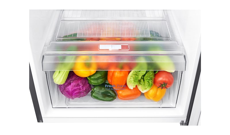 LG 254L Top Freezer Refrigerator - GN-C272SLCN, GN-C272SLCN