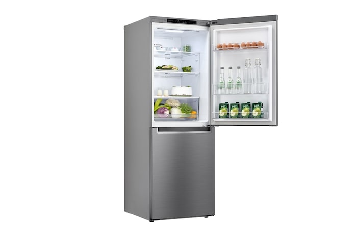 LG 306L Bottom Freezer 2 Doors Refrigerator with Smart Inverter Compressor, M310SB1