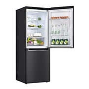 LG 306L Bottom Freezer Refrigerator - M312MC13, M312MC13