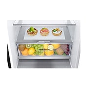 LG 341L Bottom Freezer Refrigerator - M341MC17, M341MC17