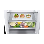 LG 341L Bottom Freezer Refrigerator - M341MC17, M341MC17