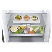 LG 341L Bottom Freezer Refrigerator - M341S17, M341S17