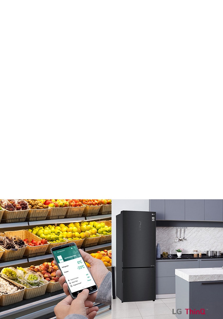 451L Bottom Freezer 2 Doors Refrigerator with Smart Inverter