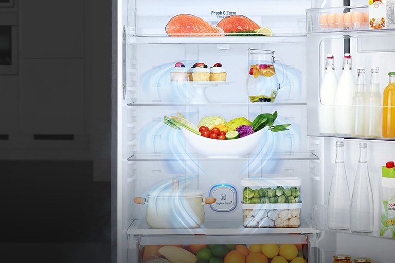 LG refrigerator interior with salmon, vegetables, drinks, and food, showcasing optimal cooling with visible blue air flows.