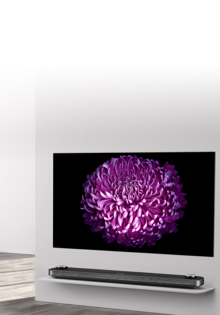 都内の方優先】OLED 65W7P 都内の方優先】OLED 65W7P 都内の方優先】OLED 65W7P 都内の方優先】