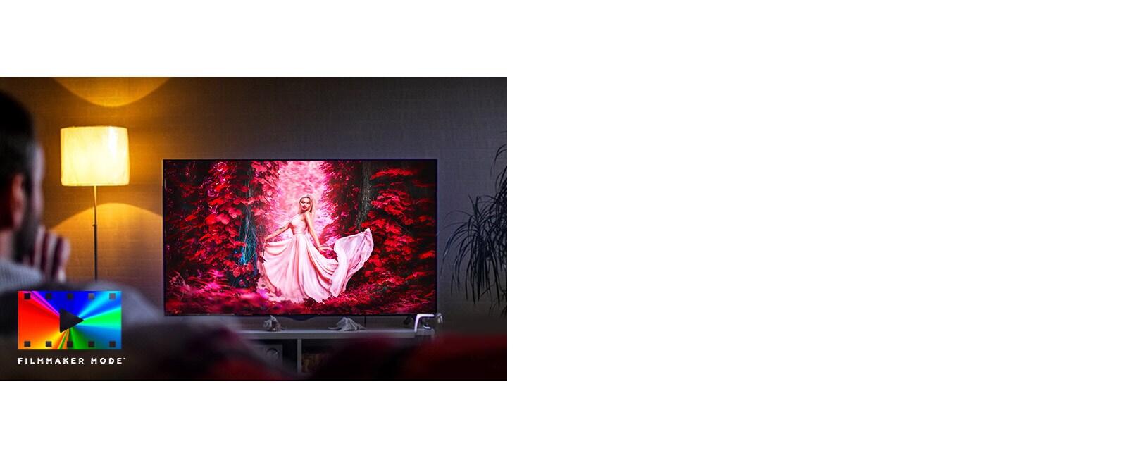 (追加値下げ 9/30まで) LG 49型テレビ 49NANO86JNA Amazon | 49NANO86JNA 4K液晶テレビ 4Kチューナー内蔵 49V型