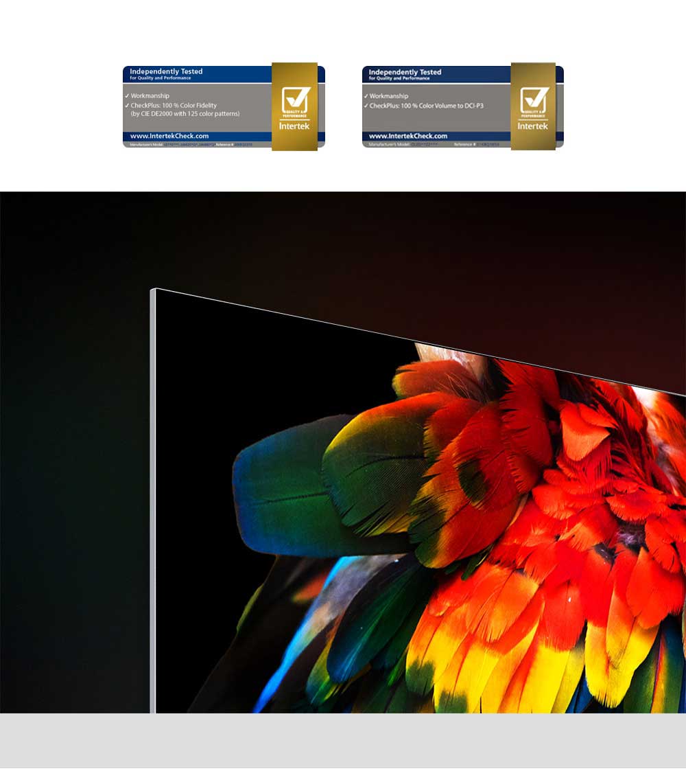 An image of a parrot's tail against a black background is displayed on the top corner of a slim OLED TV against a black background. Each color on the parrot's feathers is vivid and boldly defined.