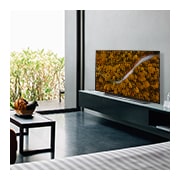 LG 55" AI ThinQ 4K LG OLED TV CX, OLED55CXPCA