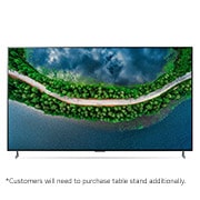 LG 65" Ultra-thin LG OLED TV GX , OLED65GXPCA
