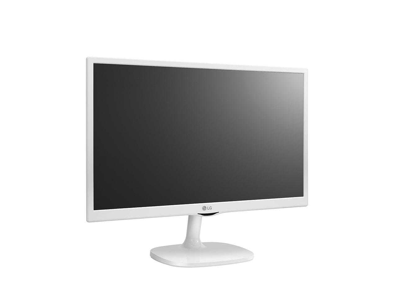 LG Personal TV MT57, 24MT57