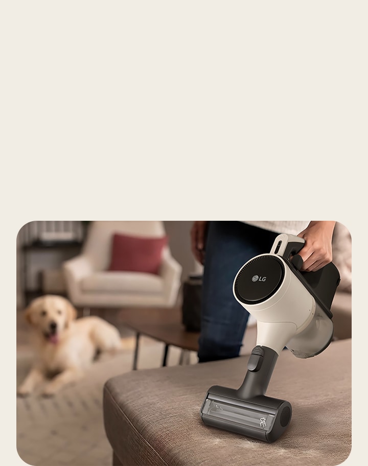 A person using the LG vacuum with Pet Nozzle to remove pet hair from a sofa, with a dog resting in the background.