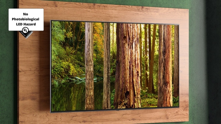 The image of forest on the TV screen
