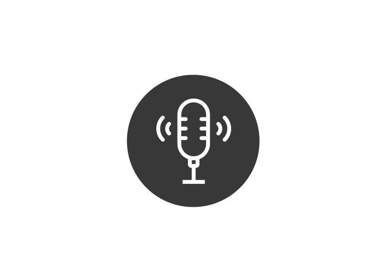 An icon shows a line drawing of a microphone with lines on the sides indicating sound on a grey circle.