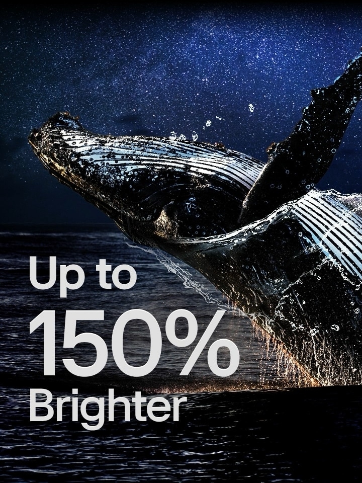 A whale jumping out of the ocean against a black backdrop. The words "up to 150% brighter" appear above the whale and become brighter.