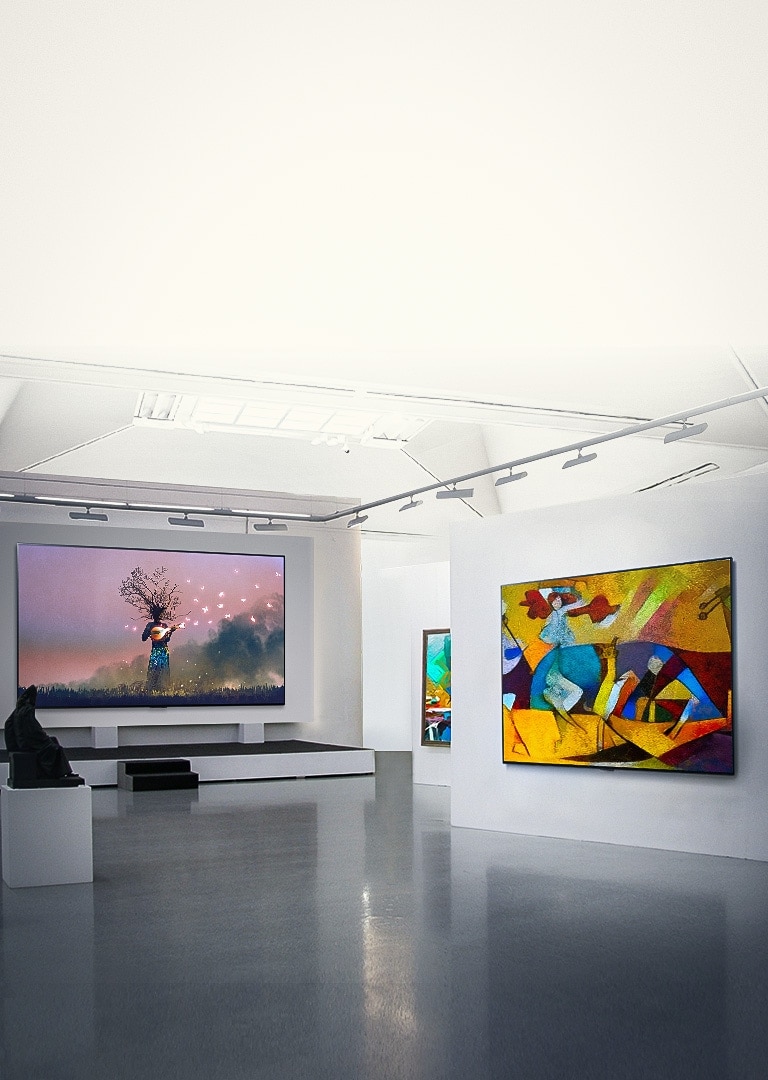 alt="LG OLED Gallery"