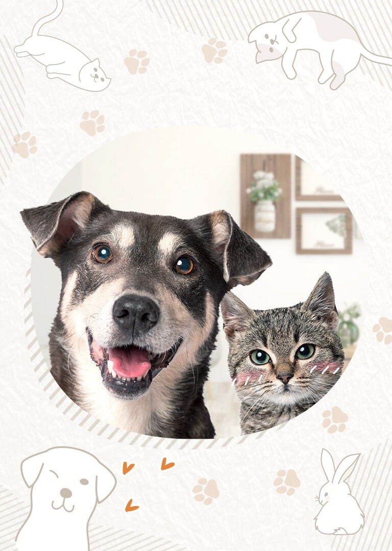 pet family