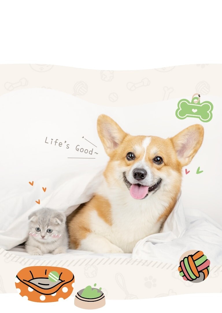 pet family-lifes good