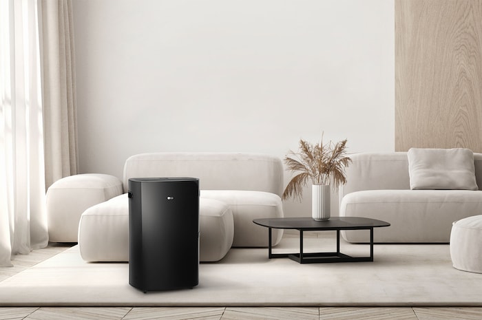 Lifestyle_An dehumidifier is located in the livingroom.