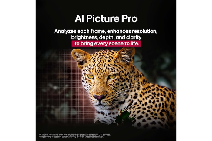 Leopard in the forest in vivid color and detail. The leopard has a grid and a light glowing behind it, indicating how LG AI Picture Pro made impressive visual enhancements to the scene's resolution, brightness, depth, and clarity.