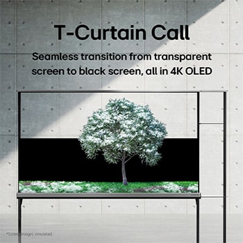 LG SIGNATURE OLED T displaying a green tree that’s been snowed on.