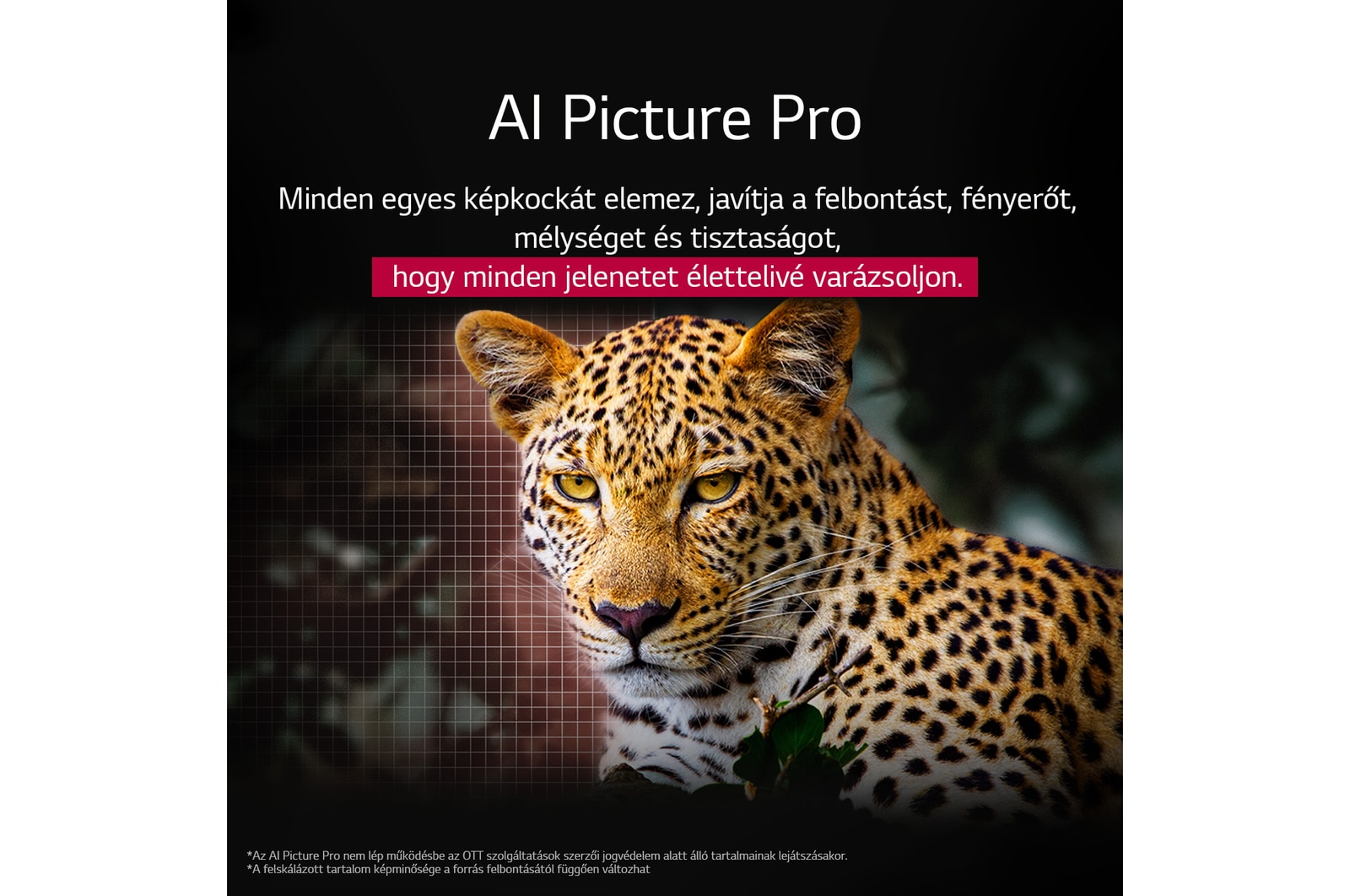 Leopárd az erdőben élénk színekkel és részletességgel. A leopárd mögött egy rács és fény csillog, jelezve, hogy LG AI Picture Pro impresszív látványfejlesztést hajtott végre a jelenet felbontásán, fényerején, mélységén és tisztaságán.